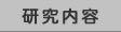 研究内容